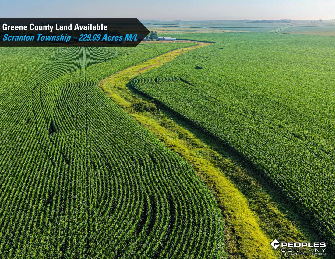 Listing Photo: Greene-County-Iowa-Land-Available-Scranton-Iowa-229-Acres-19614 (11)